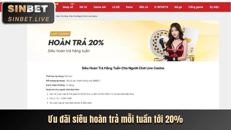 Khám phá các ưu đãi độc quyền tại vf555 chính thức