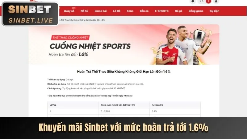 Chương Trình VIP & Phần Thưởng Độc Quyền tại VF555 Chính Thức